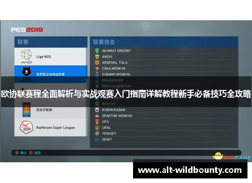欧协联赛程全面解析与实战观赛入门指南详解教程新手必备技巧全攻略